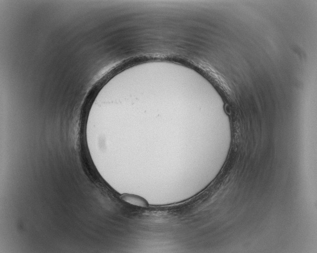 X0000116650440201001041053