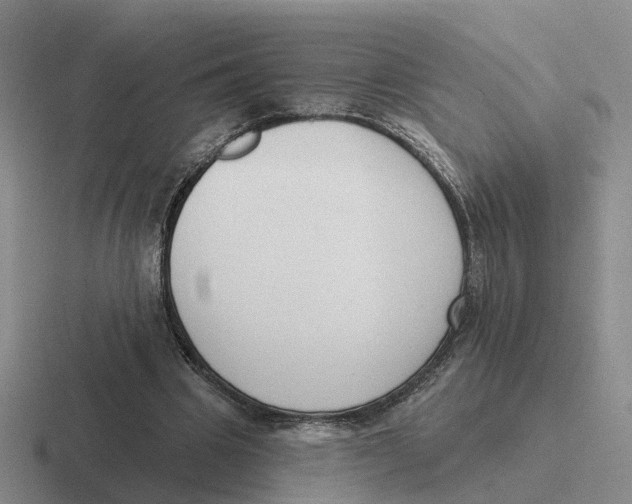 X0000116650441201001041053