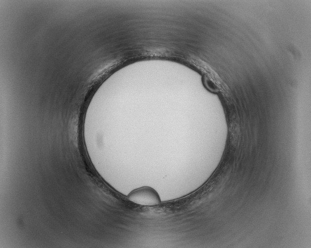 X0000116650442201001041053