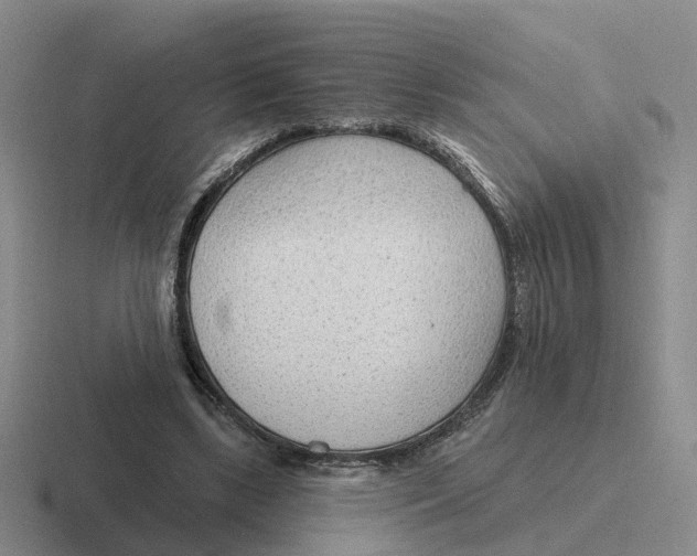 X0000116650443201001041053