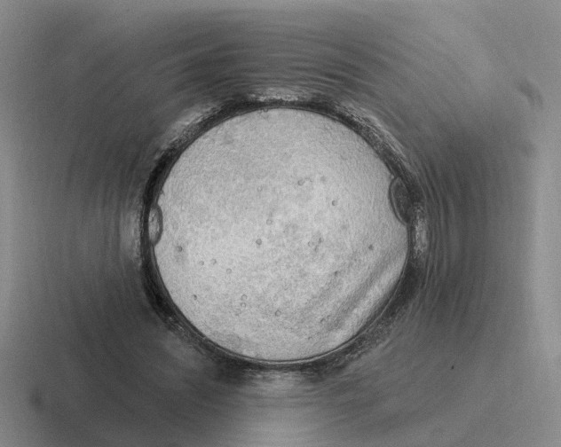 X0000116650444201001041053