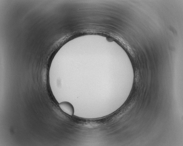 X0000116650445201001041053