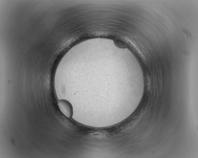 X0000116650447201001041053