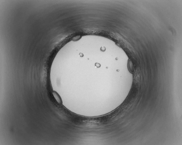 X0000116650448201001041053