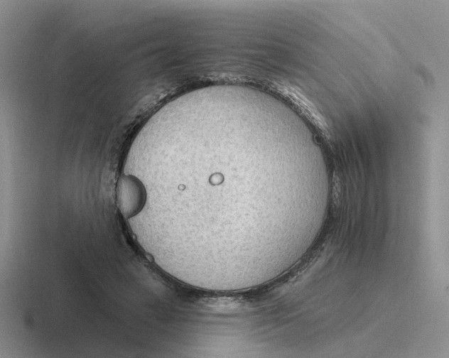 X0000116650449201001041053