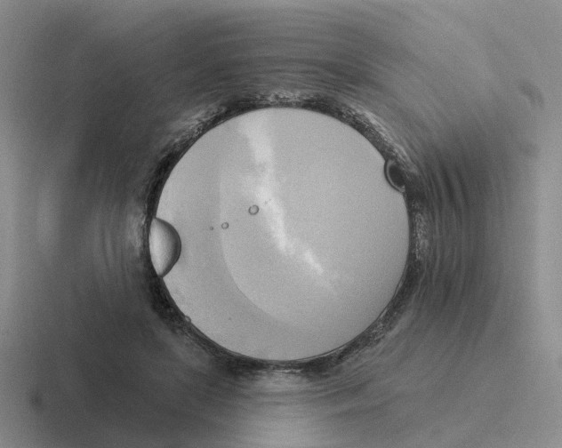 X0000116650451201001041053