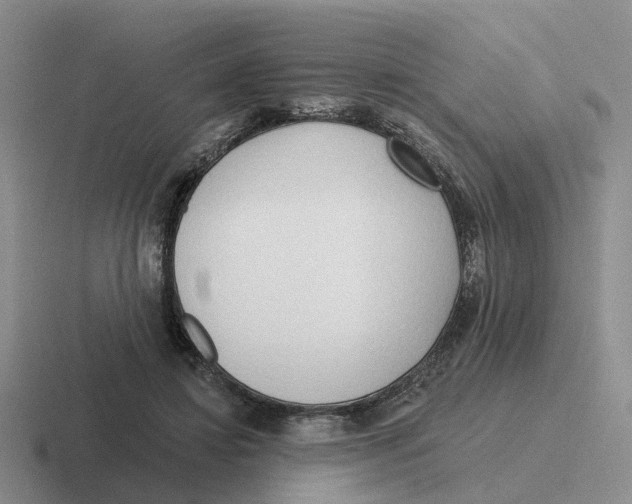 X0000116650452201001041053