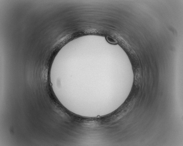 X0000116650454201001041053