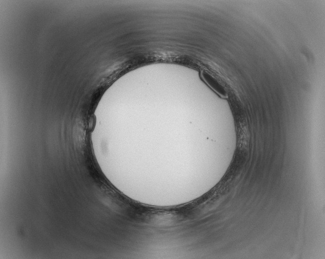 X0000116650456201001041053