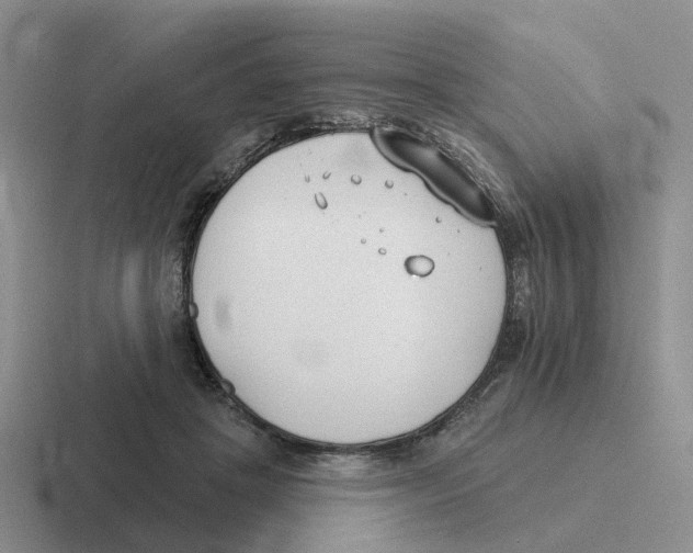 X0000116650457201001041053