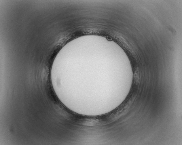 X0000116650458201001041053