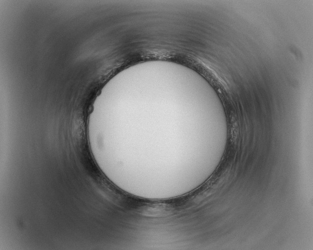 X0000116650459201001041053