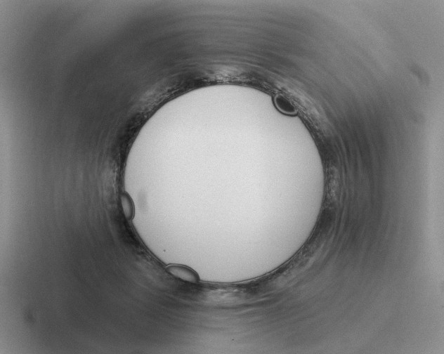 X0000116650461201001041053