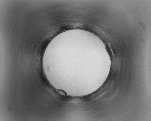 X0000116650462201001041053