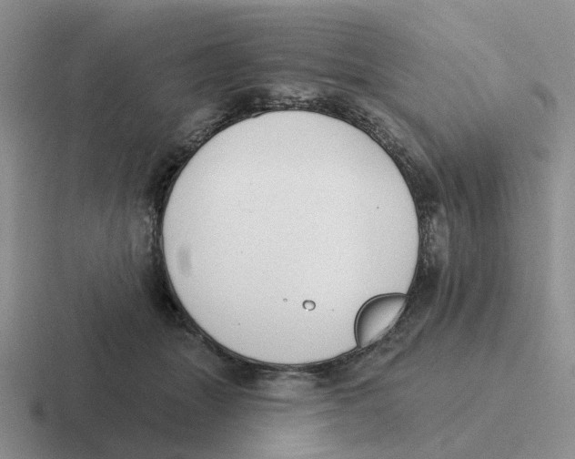 X0000116650463201001041053