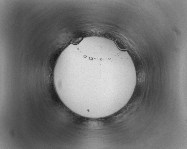 X0000116650464201001041053