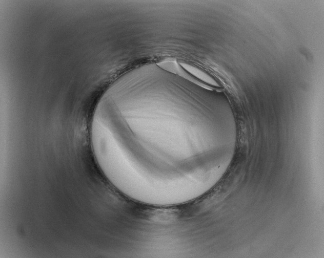 X0000116650465201001041054