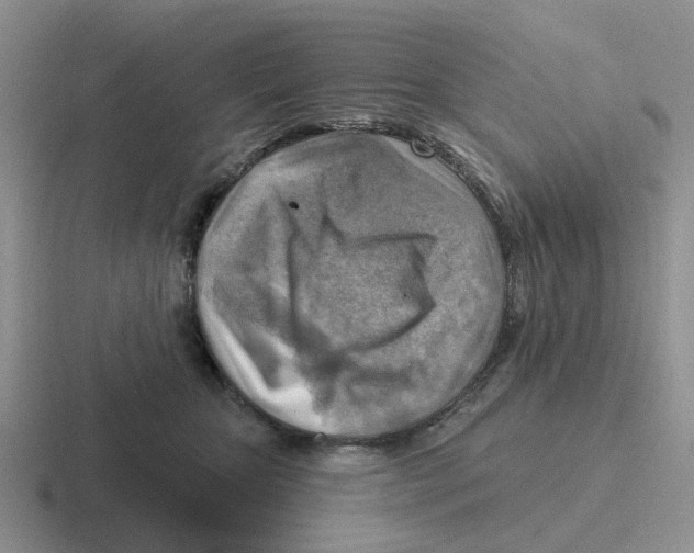 X0000116650467201001041054