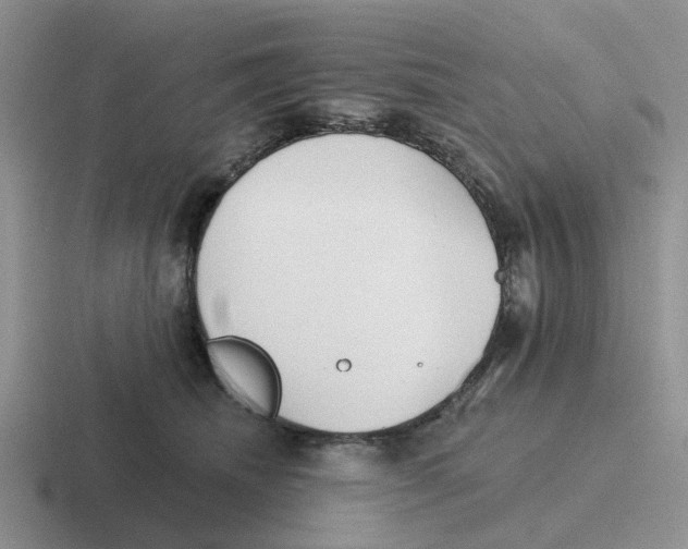 X0000116650468201001041054