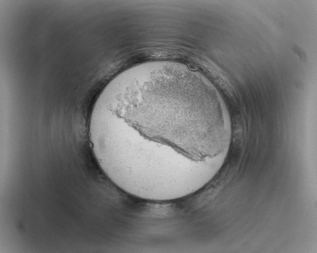 X0000116650469201001041054