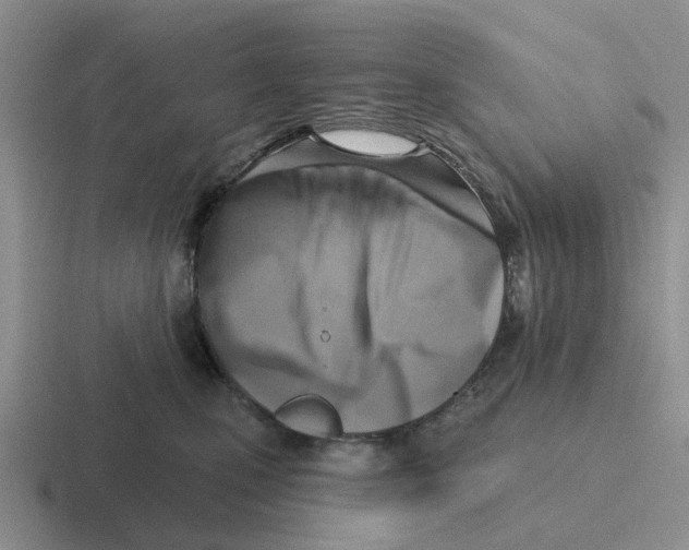 X0000116650471201001041054