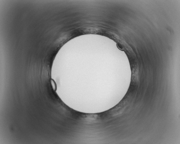 X0000116650474201001041054