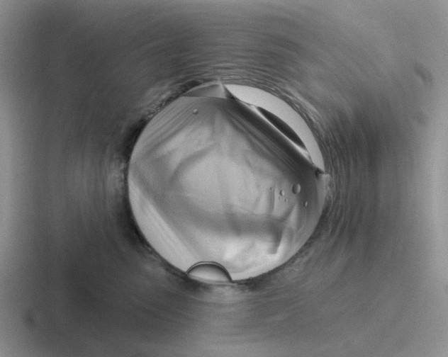 X0000116650475201001041054