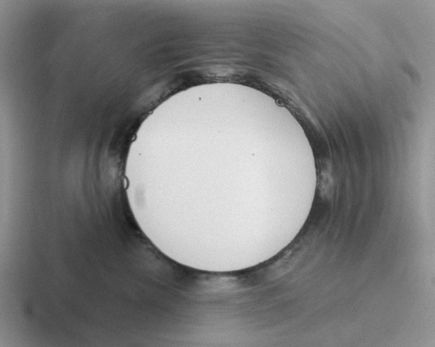 X0000116650476201001041054