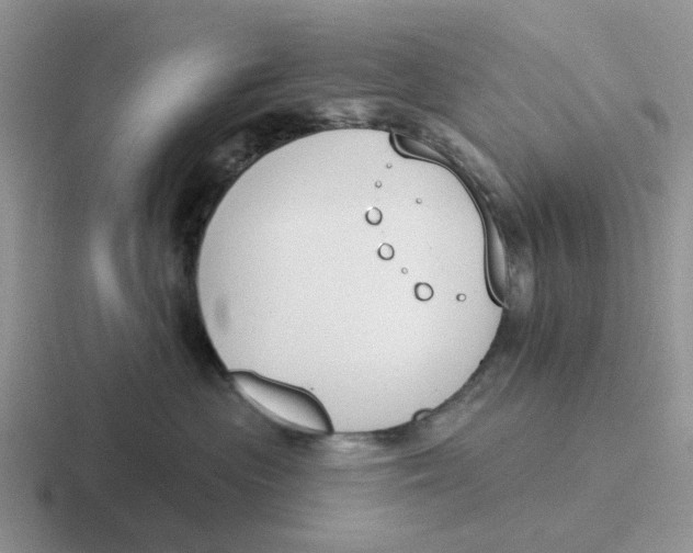 X0000116650477201001041054