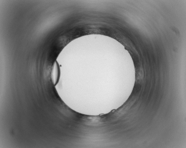 X0000116650478201001041054