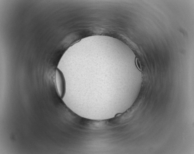 X0000116650479201001041054