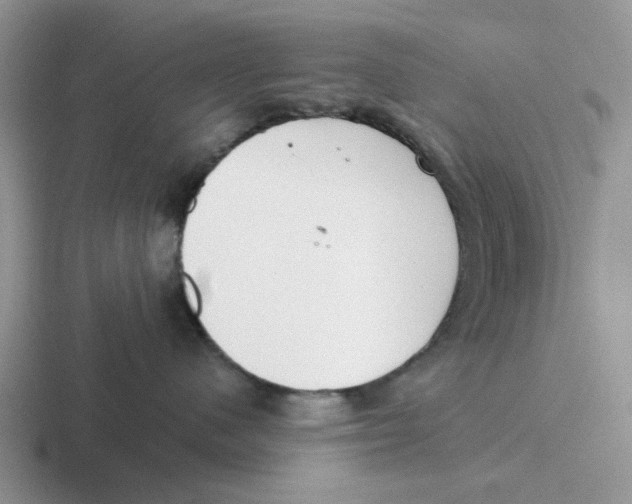 X0000116650480201001041054