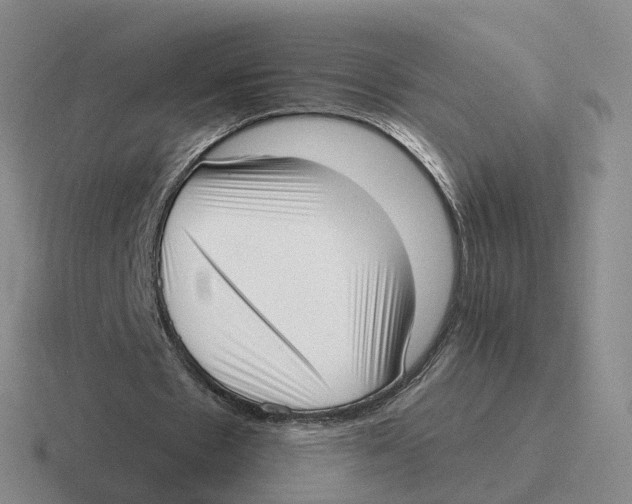 X0000116650481201001041053