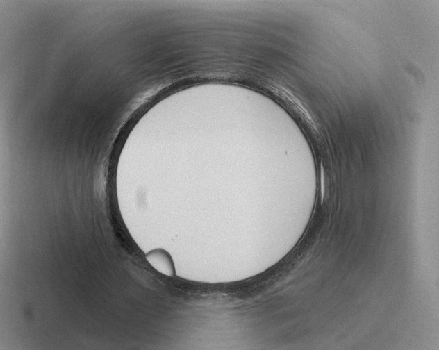 X0000116650483201001041053