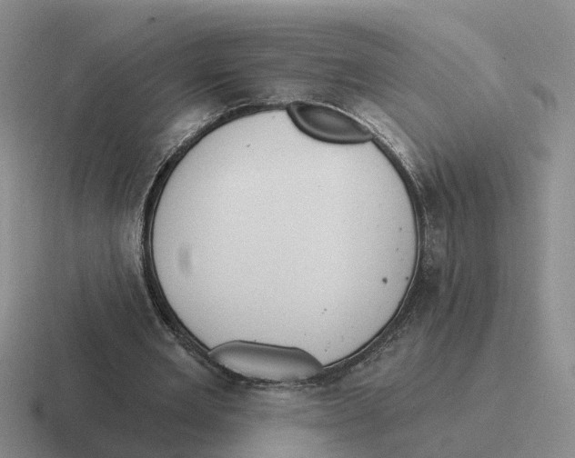 X0000116650485201001041053