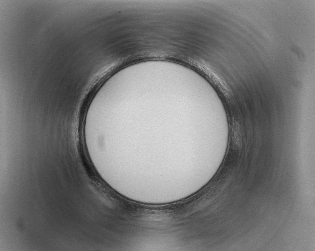 X0000116650486201001041053