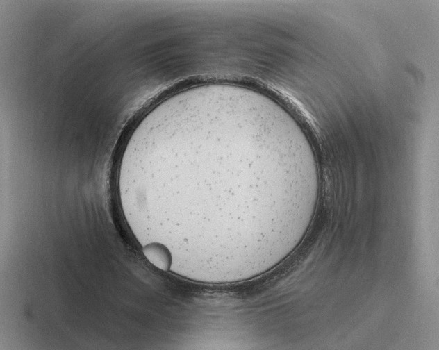 X0000116650487201001041053