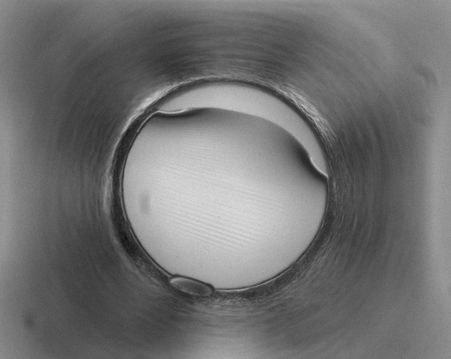 X0000116650488201001041053