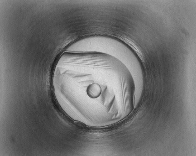 X0000116650489201001041053