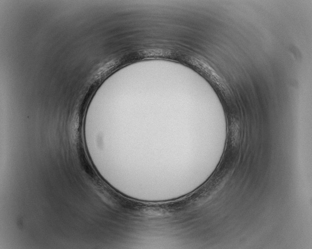 X0000116650490201001041053