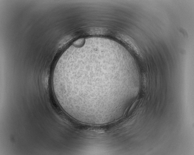 X0000116650491201001041053