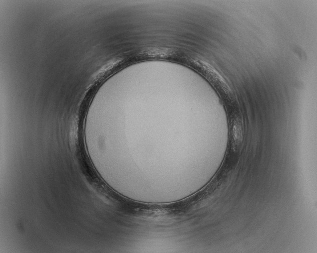 X0000116650492201001041053