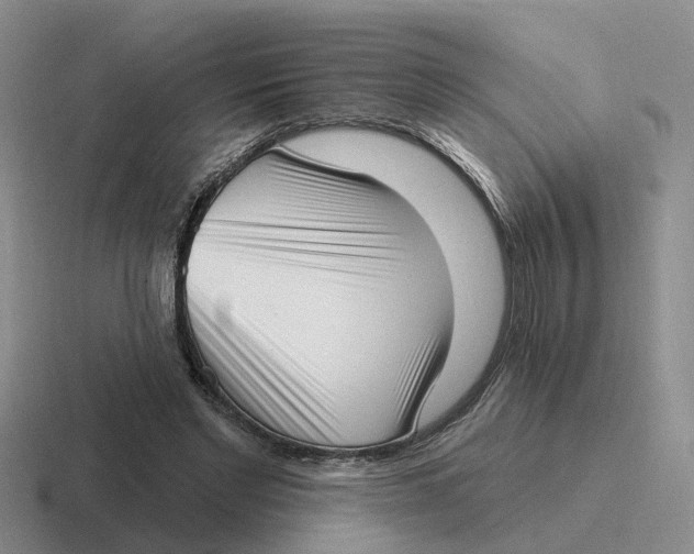 X0000116650493201001041053