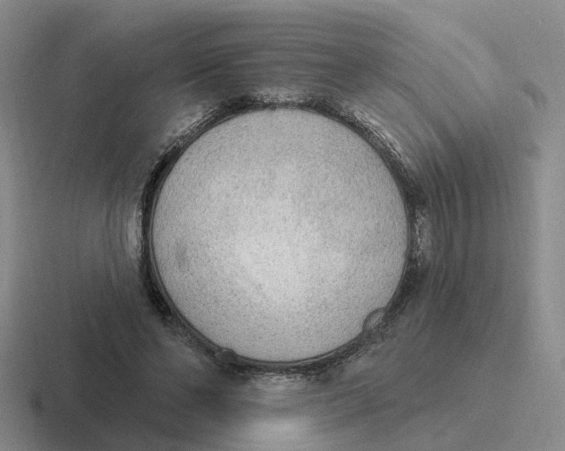 X0000116650494201001041053