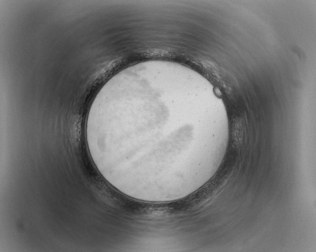 X0000116650495201001041053