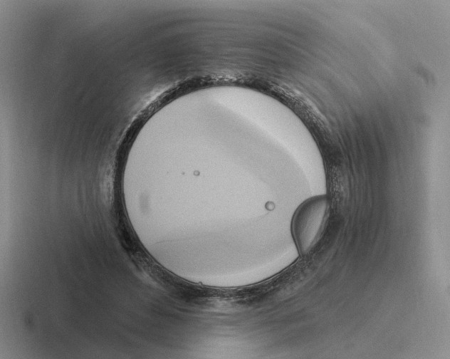 X0000116650496201001041053