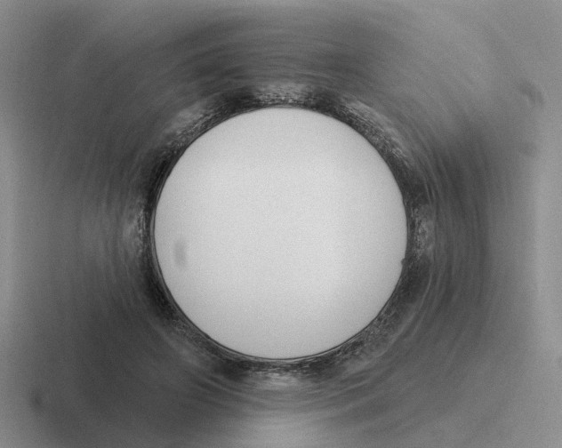 X0000116650498201001041053