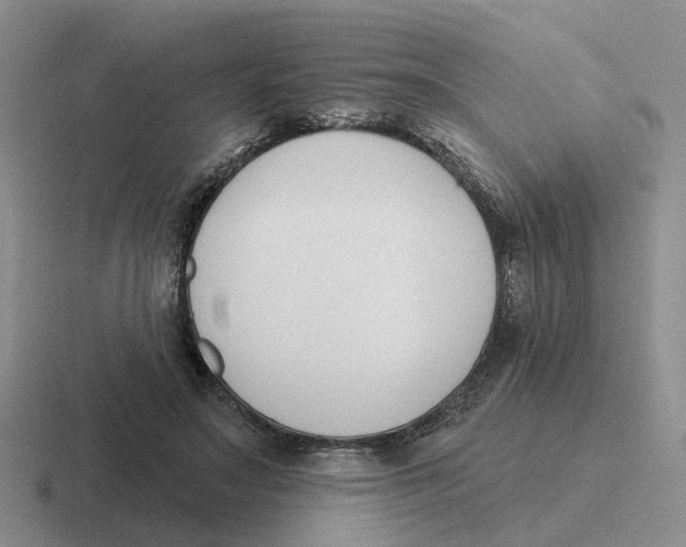 X0000116650499201001041053