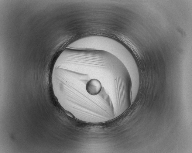 X0000116650501201001041053