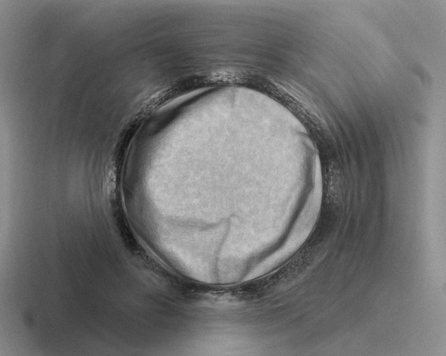 X0000116650502201001041053